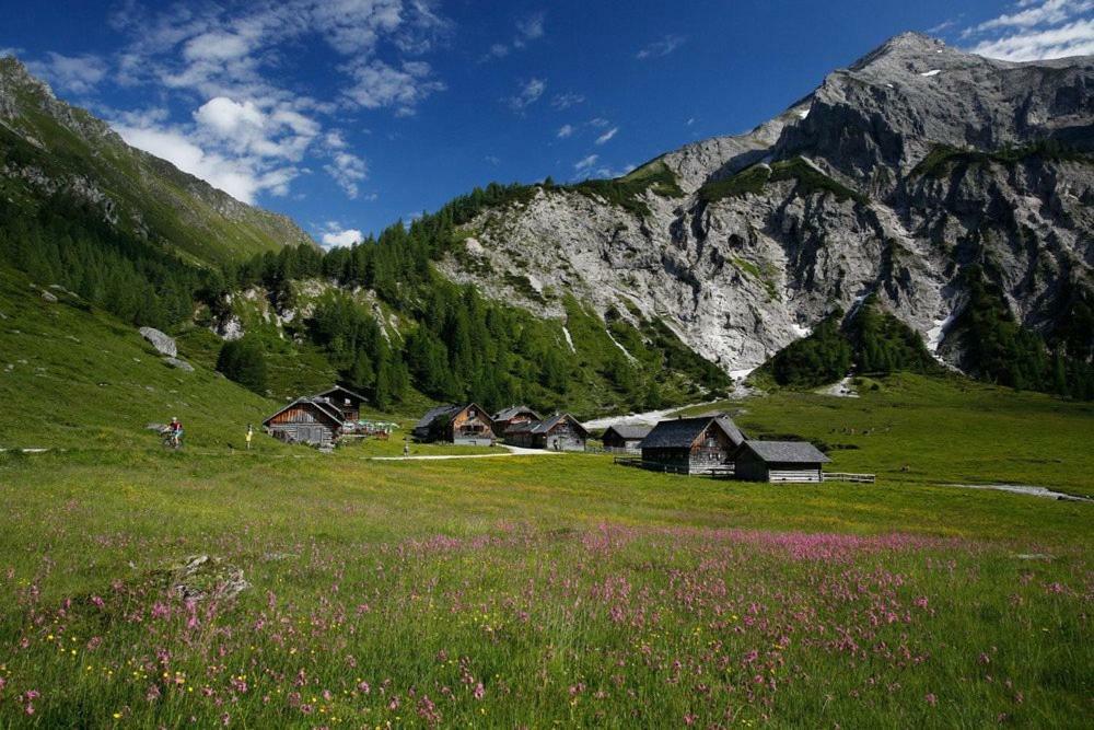 Appartements Freiraum Schladming Zewnętrze zdjęcie